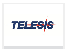 美國TELESIS打標機